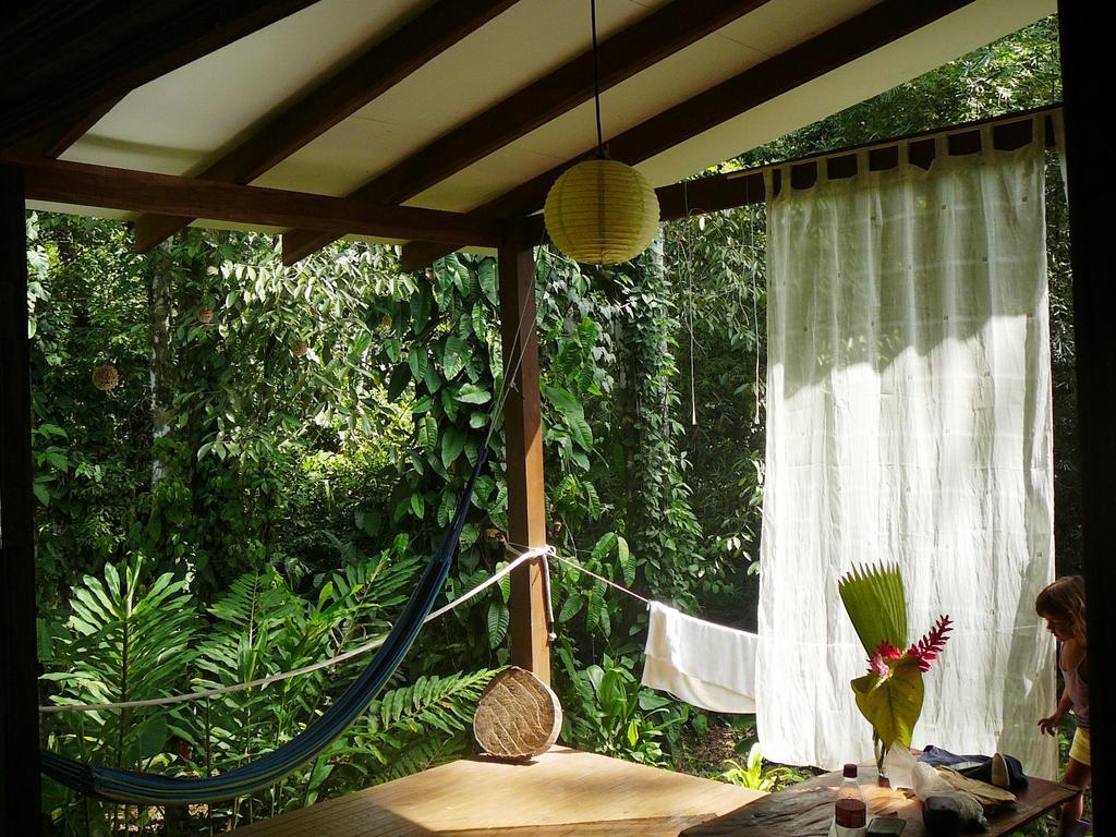 Casa Lina Sloth View Exotic Apartment With Privat Kitchen Puerto Viejo de Talamanca Quarto foto