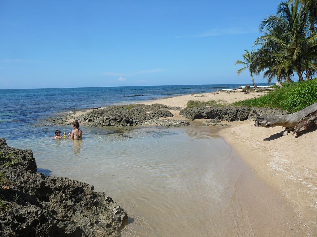 Casa Lina Sloth View Exotic Apartment With Privat Kitchen Puerto Viejo de Talamanca Quarto foto