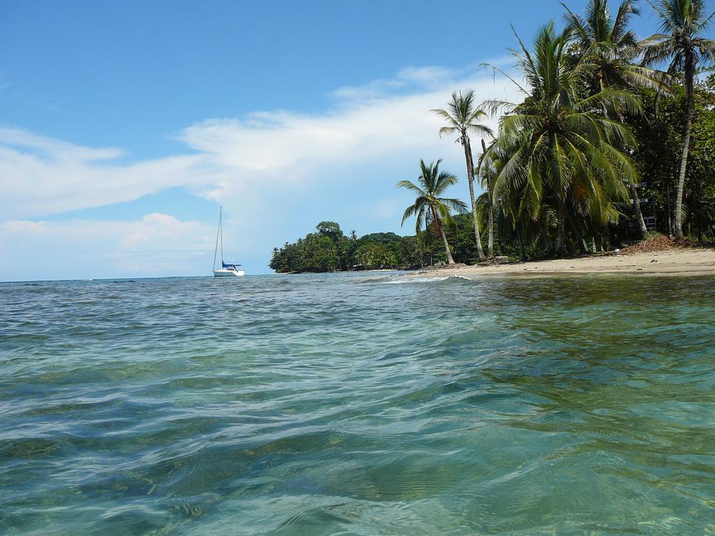 Casa Lina Sloth View Exotic Apartment With Privat Kitchen Puerto Viejo de Talamanca Quarto foto