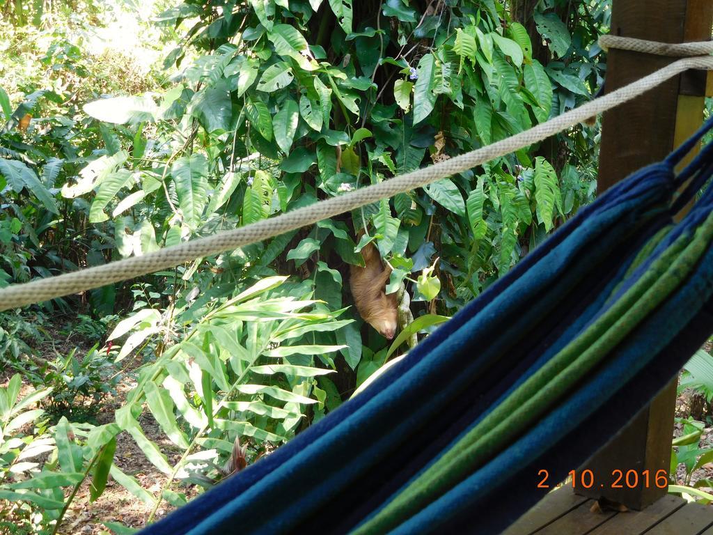 Casa Lina Sloth View Exotic Apartment With Privat Kitchen Puerto Viejo de Talamanca Exterior foto