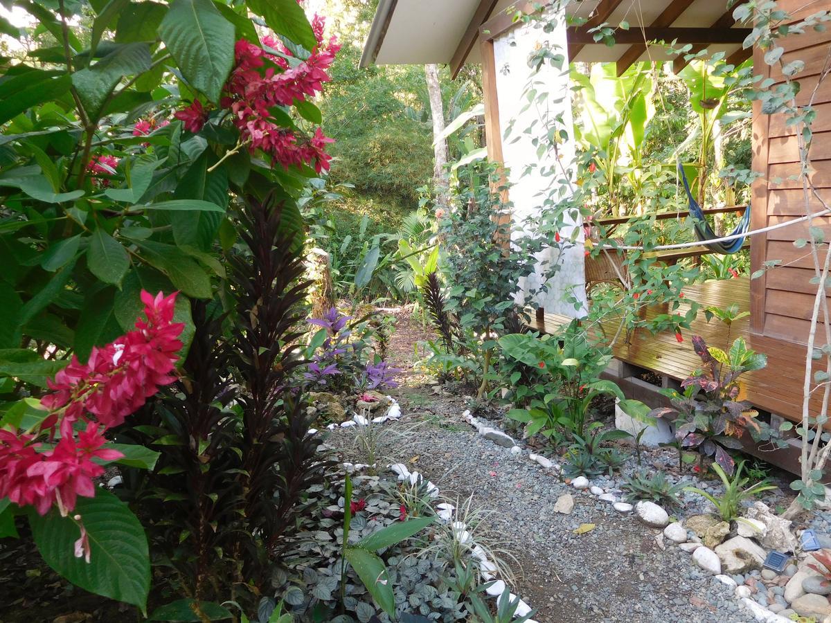 Casa Lina Sloth View Exotic Apartment With Privat Kitchen Puerto Viejo de Talamanca Exterior foto