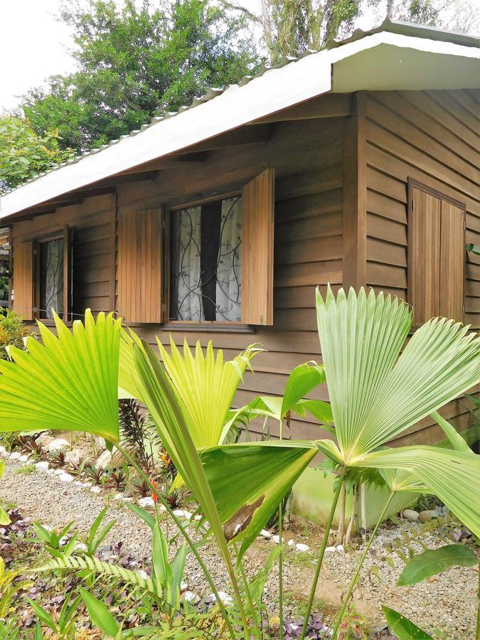 Casa Lina Sloth View Exotic Apartment With Privat Kitchen Puerto Viejo de Talamanca Exterior foto